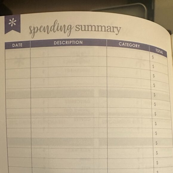 Erin Condren Budget Book • Financial Planner • Sticker Sheet Included - Picture 4 of 6